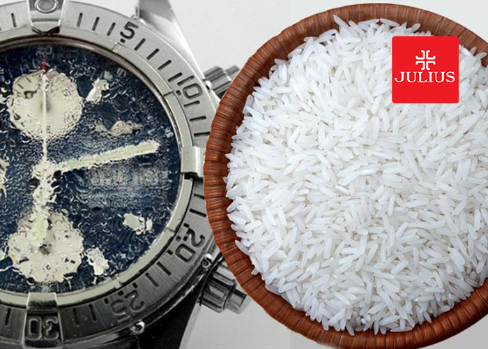 xử lý đồng hồ bị nước vô - Cho đồng hồ vào thùng gạo